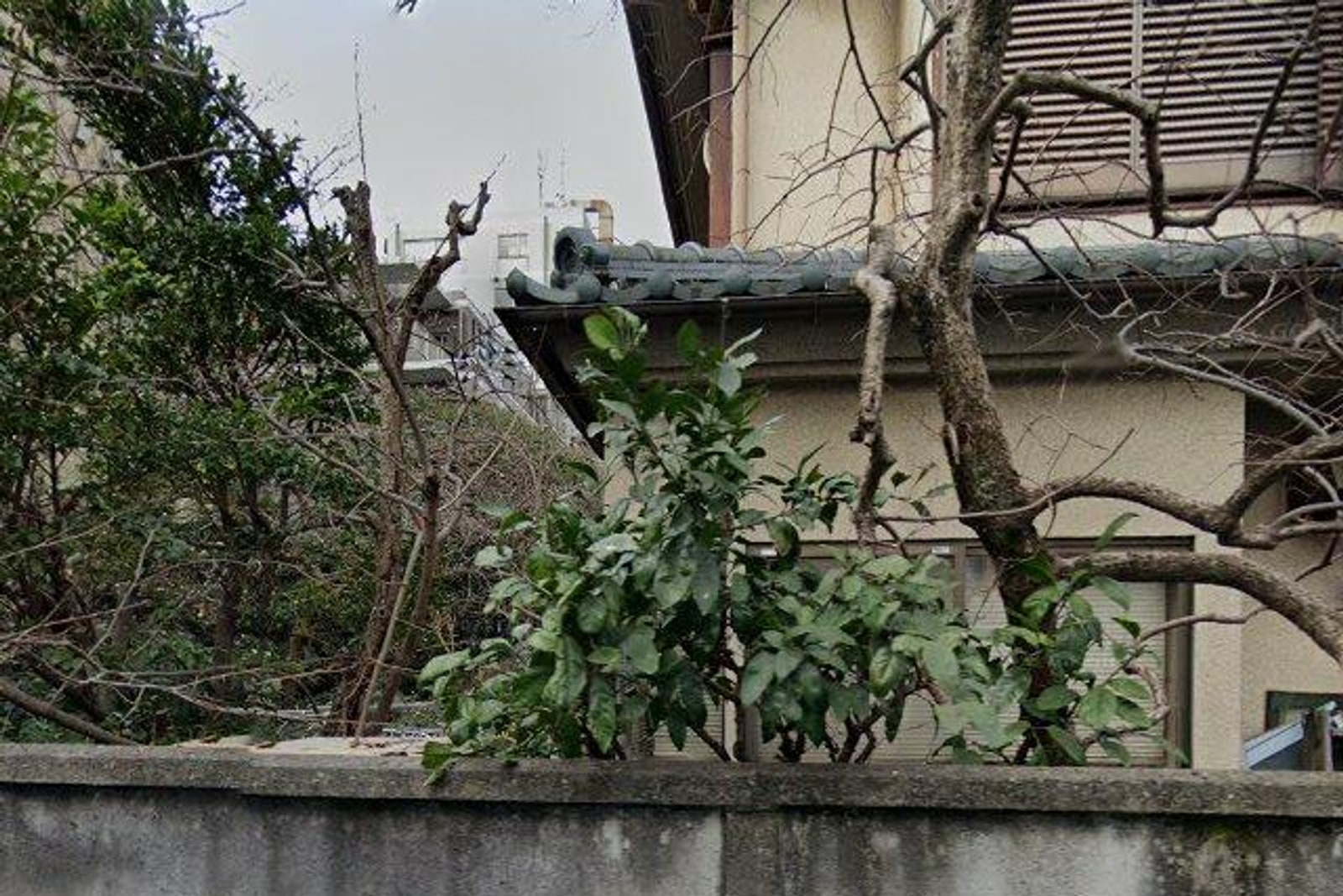 ウェルスクエア桜上水