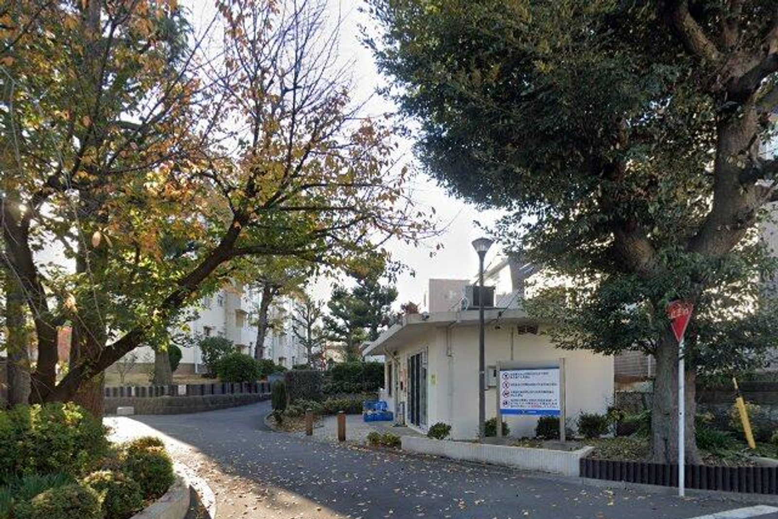 ミハス中野