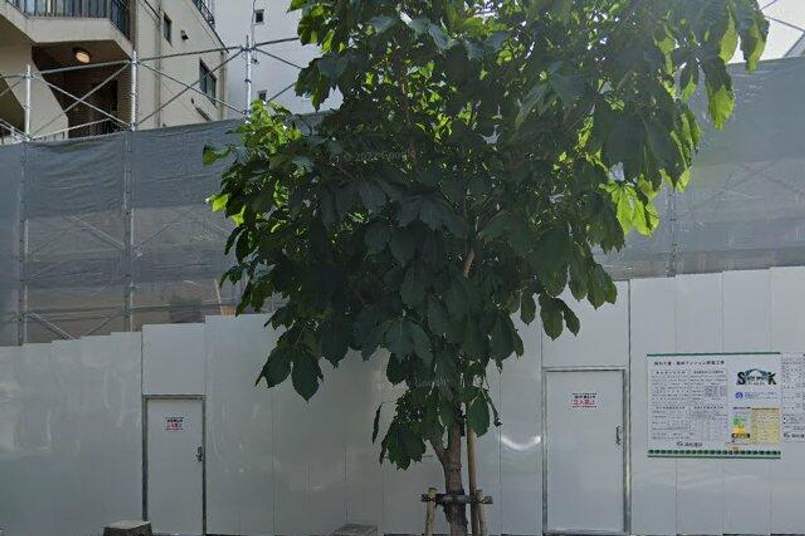 COLLET麻布